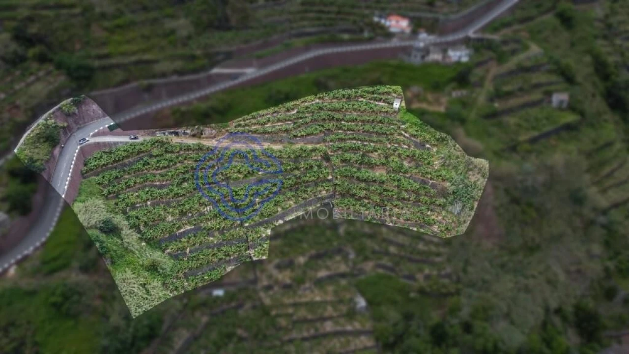 Terreno para Venda em Madalena do Mar Foto 2