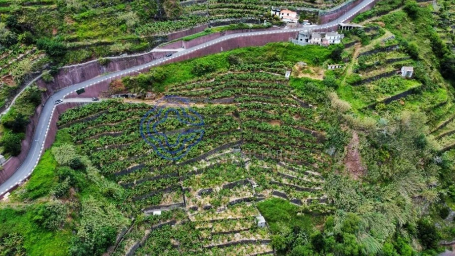 Terreno para Venda em Madalena do Mar