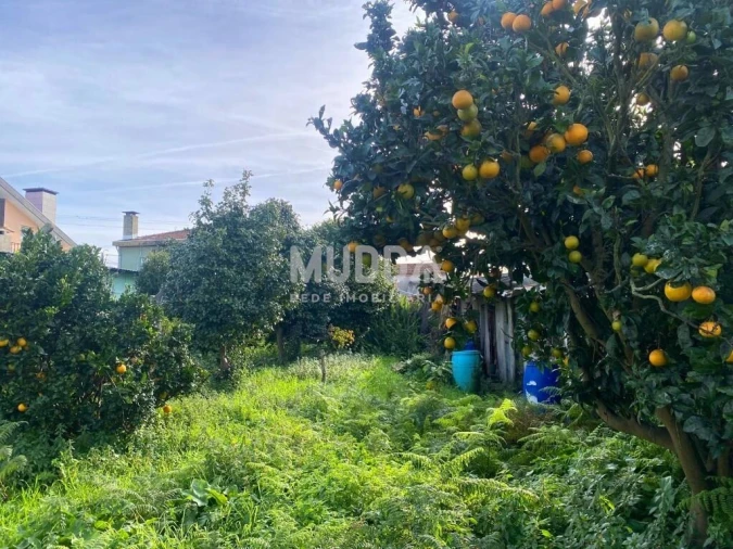 Moradia T3 para Venda em Cortegaça Foto 31