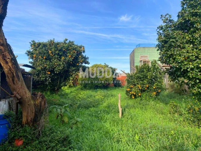 Moradia T3 para Venda em Cortegaça Foto 30