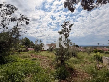 Terreno para Venda em Figueiró dos Vinhos e Bairradas