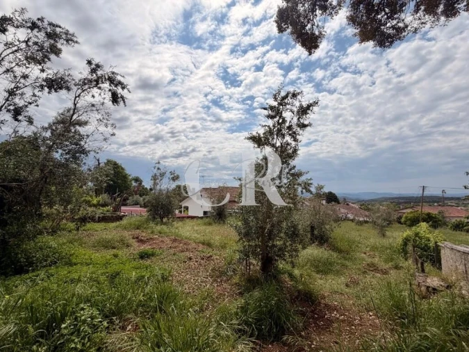 Terreno para Venda em Figueiró dos Vinhos e Bairradas Foto 4