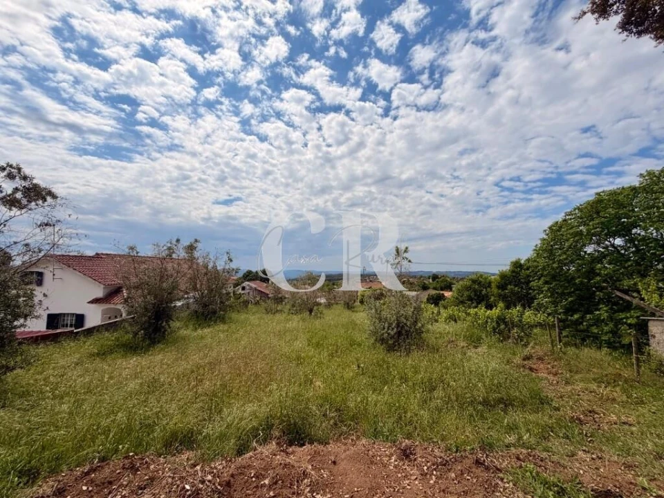 Terreno para Venda em Figueiró dos Vinhos e Bairradas Foto 3