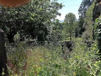 Moradia T3 para Venda em Baltar