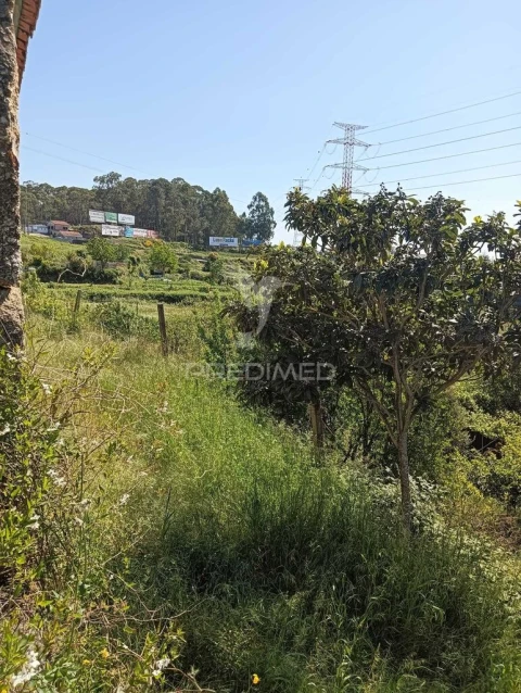 Moradia T3 para Venda em Baltar