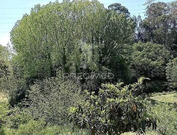 Moradia T3 para Venda em Baltar