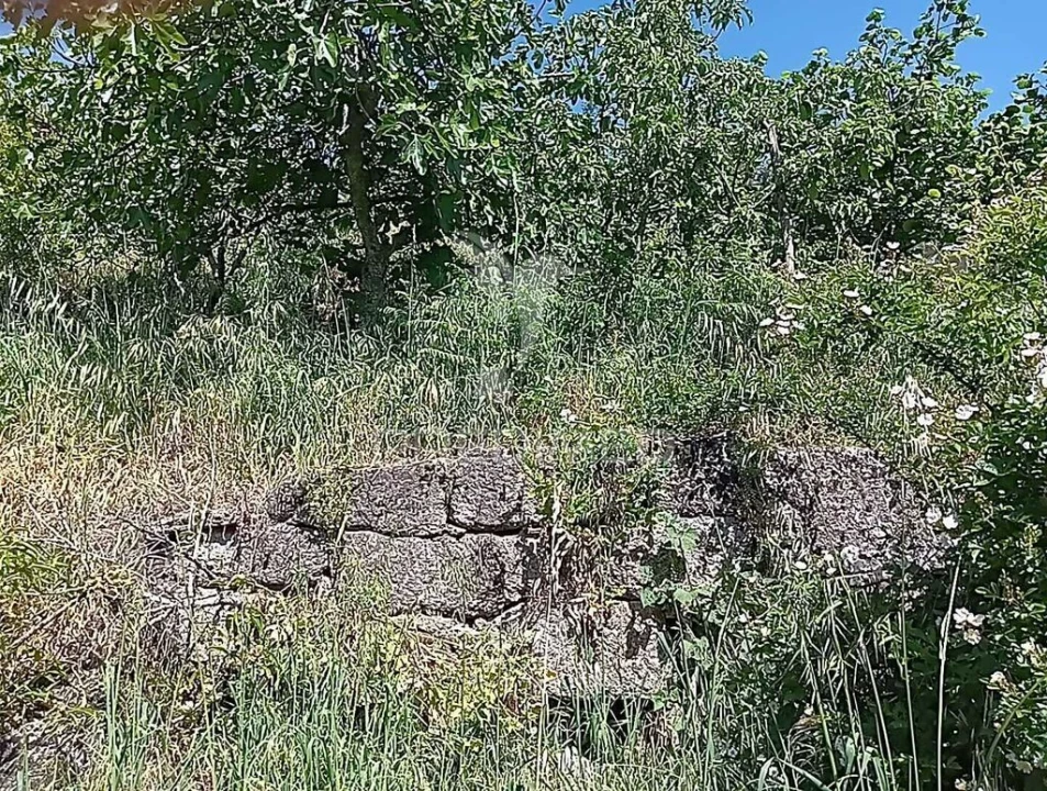 Moradia T3 para Venda em Baltar Foto 19