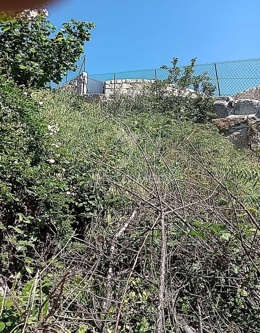 Moradia T3 para Venda em Baltar Foto 17