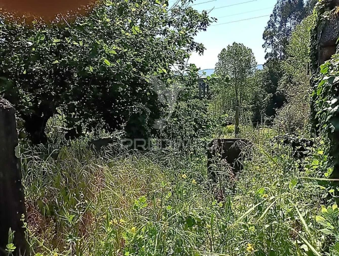 Moradia T3 para Venda em Baltar Foto 18