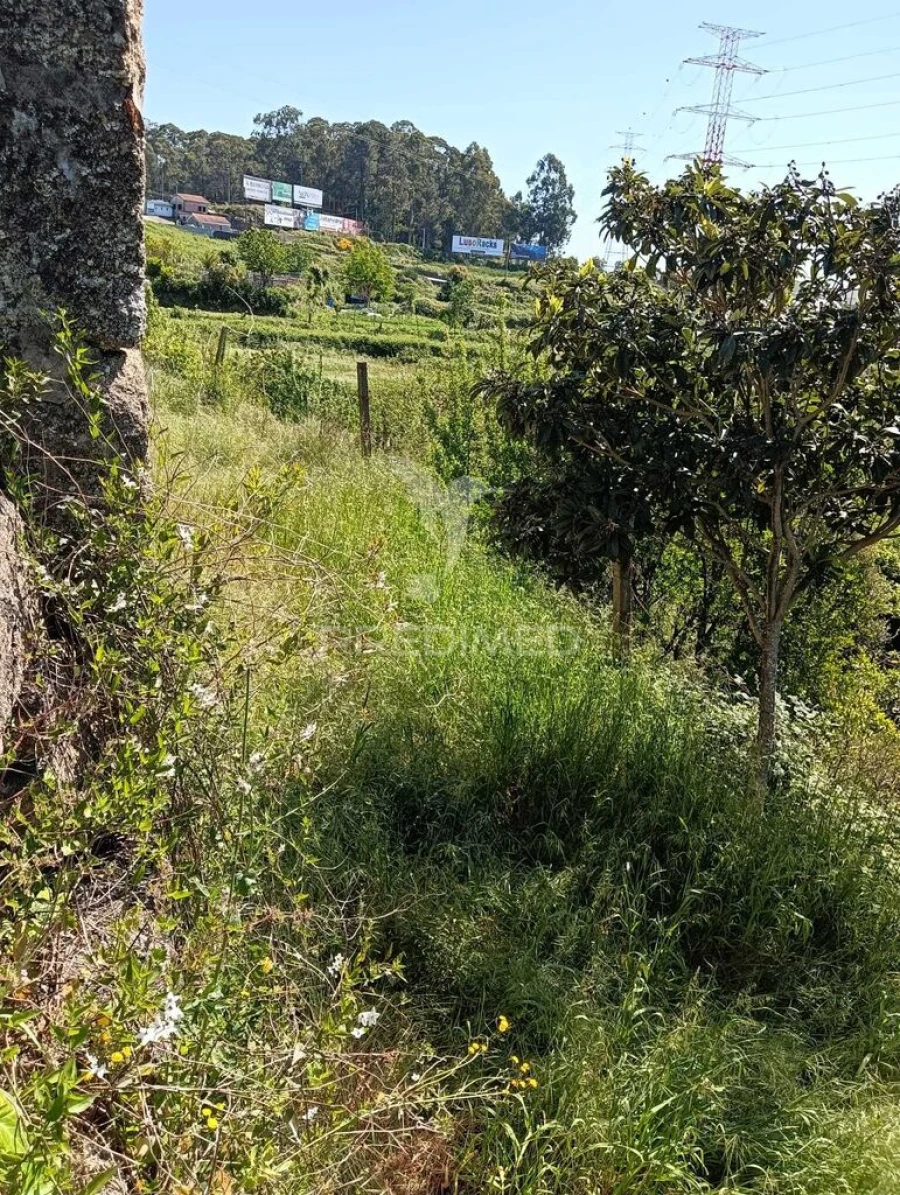 Moradia T3 para Venda em Baltar Foto 7
