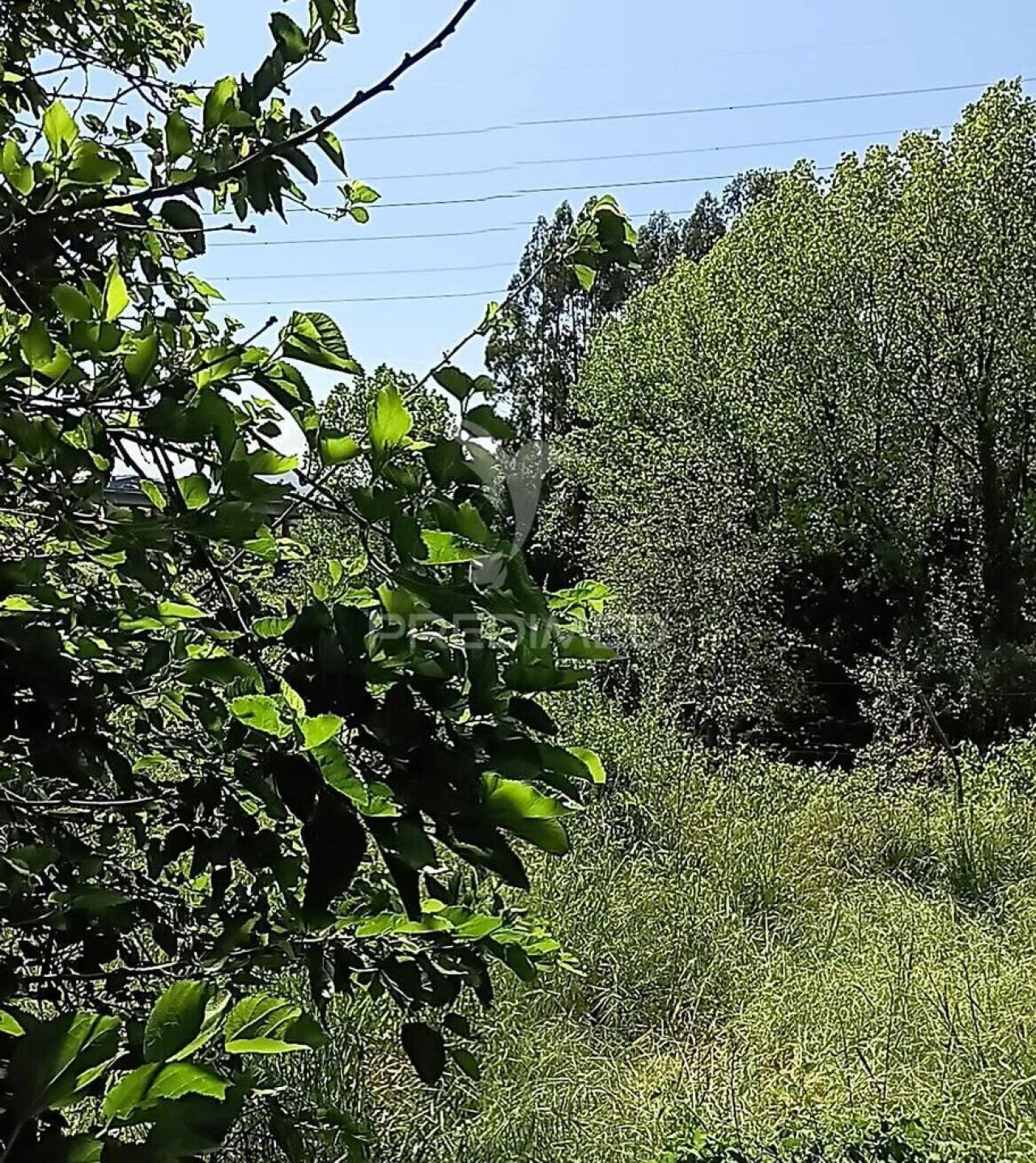 Moradia T3 para Venda em Baltar Foto 14