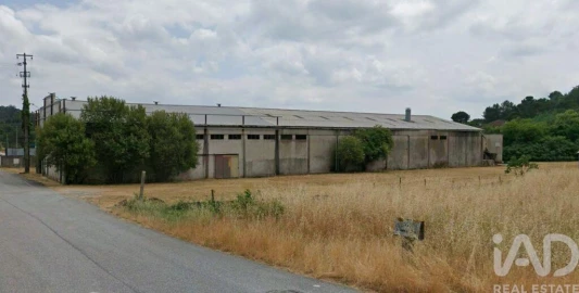 Armazém para Venda em Campo de Besteiros