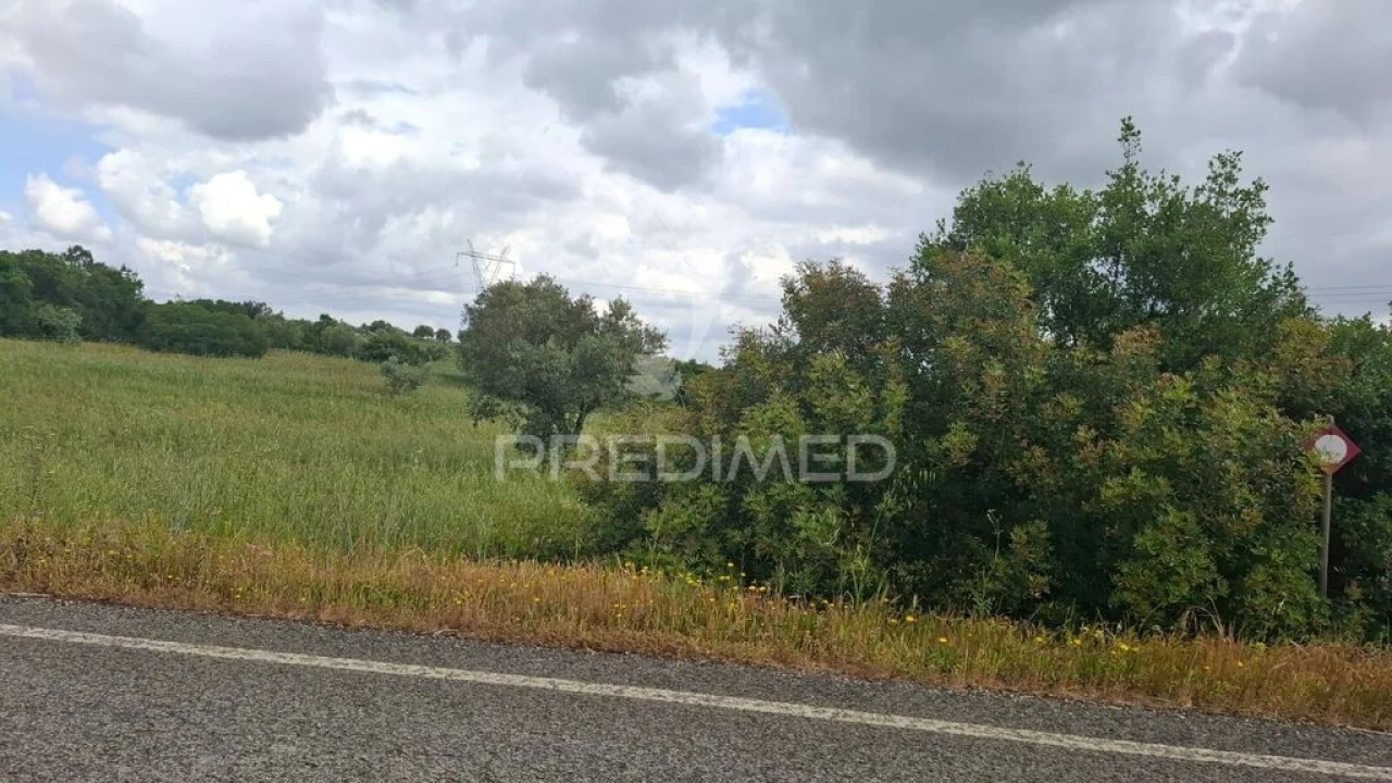 Terreno para Venda em Achete, Azoia de Baixo e Póvoa de Santarém Foto 2