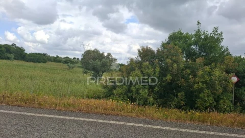 Terreno para Venda em Achete, Azoia de Baixo e Póvoa de Santarém