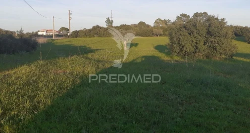 Terreno para Venda em Achete, Azoia de Baixo e Póvoa de Santarém