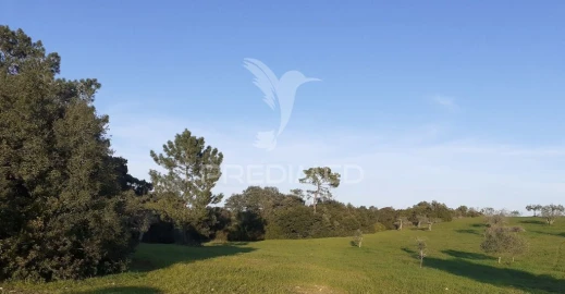 Terreno para Venda em Achete, Azoia de Baixo e Póvoa de Santarém