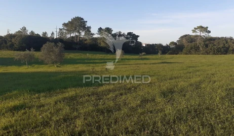 Terreno para Venda em Achete, Azoia de Baixo e Póvoa de Santarém