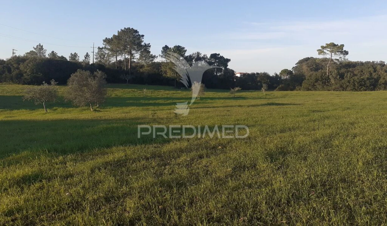 Terreno para Venda em Achete, Azoia de Baixo e Póvoa de Santarém Foto 10