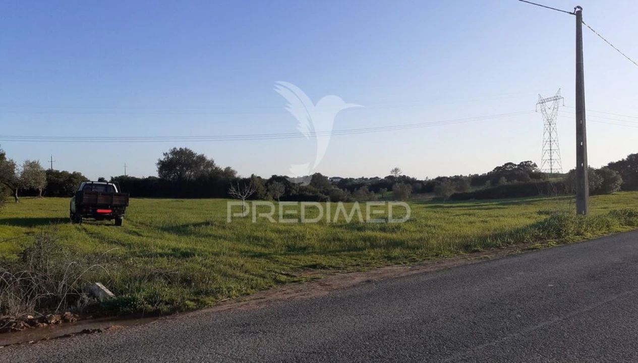 Terreno para Venda em Achete, Azoia de Baixo e Póvoa de Santarém Foto 11