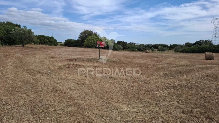 Terreno para Venda em Achete, Azoia de Baixo e Póvoa de Santarém Foto 2