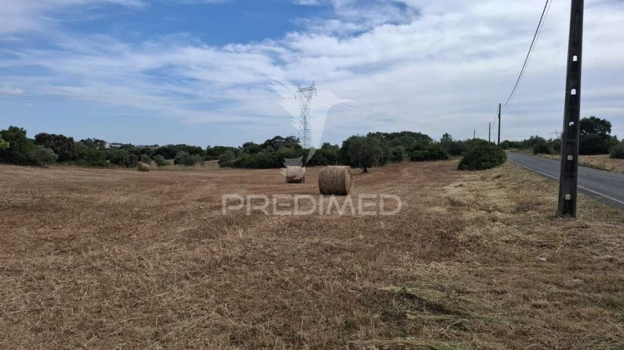 Terreno para Venda em Achete, Azoia de Baixo e Póvoa de Santarém Foto 3
