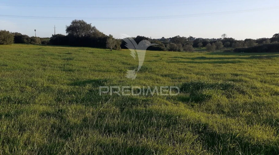 Terreno para Venda em Achete, Azoia de Baixo e Póvoa de Santarém Foto 5