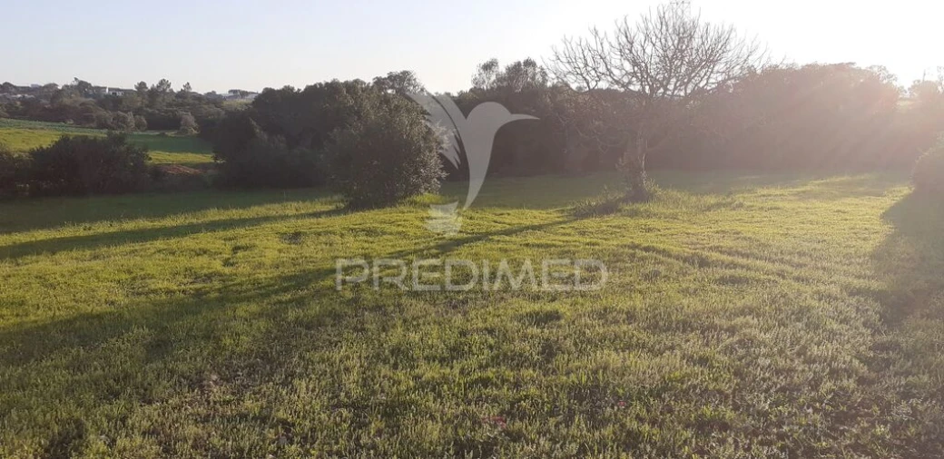 Terreno para Venda em Achete, Azoia de Baixo e Póvoa de Santarém Foto 7