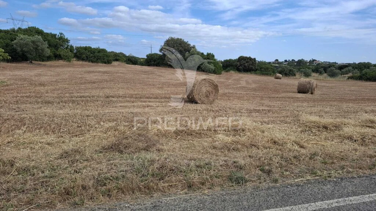 Terreno para Venda em Achete, Azoia de Baixo e Póvoa de Santarém Foto 1