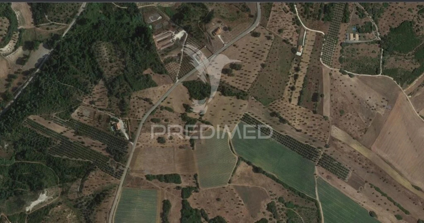 Terreno para Venda em Achete, Azoia de Baixo e Póvoa de Santarém Foto 14