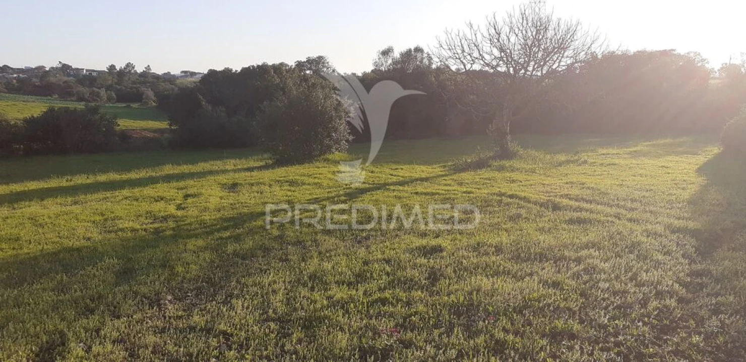 Terreno para Venda em Achete, Azoia de Baixo e Póvoa de Santarém Foto 7