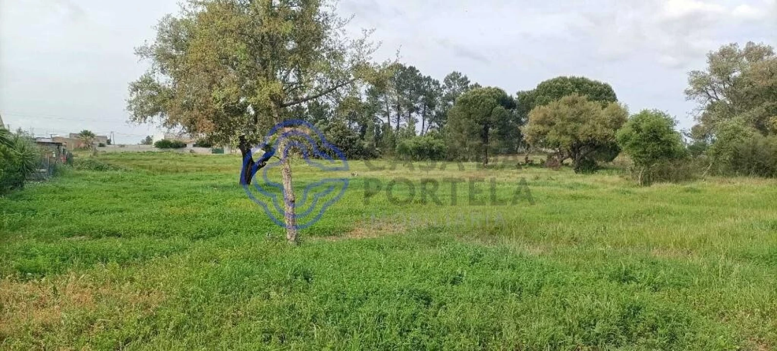Terreno para Venda em Poceirão e Marateca Foto 2