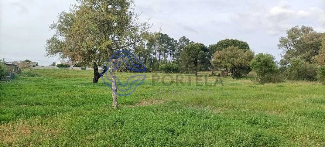 Terreno para Venda em Poceirão e Marateca Foto 3