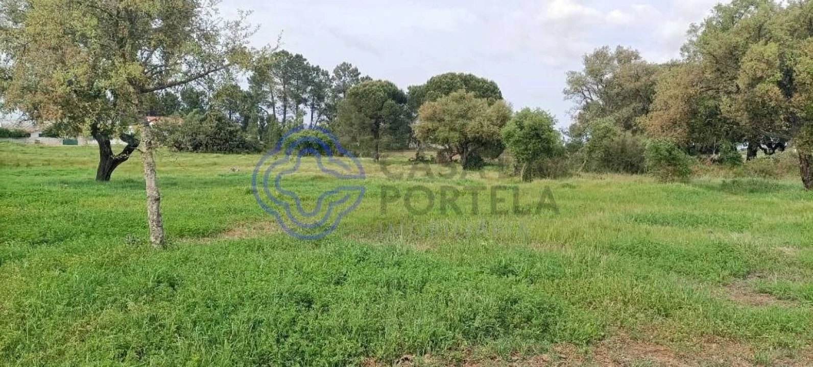 Terreno para Venda em Poceirão e Marateca Foto 1