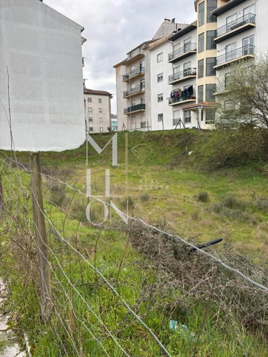 Terreno para Venda em Avelãs de Ambom e Rocamondo Foto 2