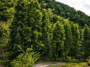 Terreno para Venda em Ponta Delgada