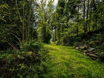 Terreno para Venda em Ponta Delgada