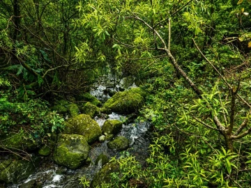 Terreno para Venda em Ponta Delgada