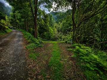 Terreno para Venda em Ponta Delgada