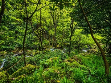 Terreno para Venda em Ponta Delgada