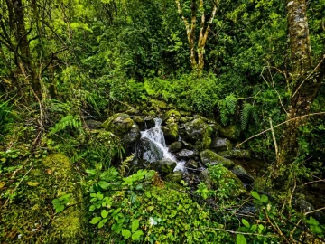 Terreno para Venda em Ponta Delgada