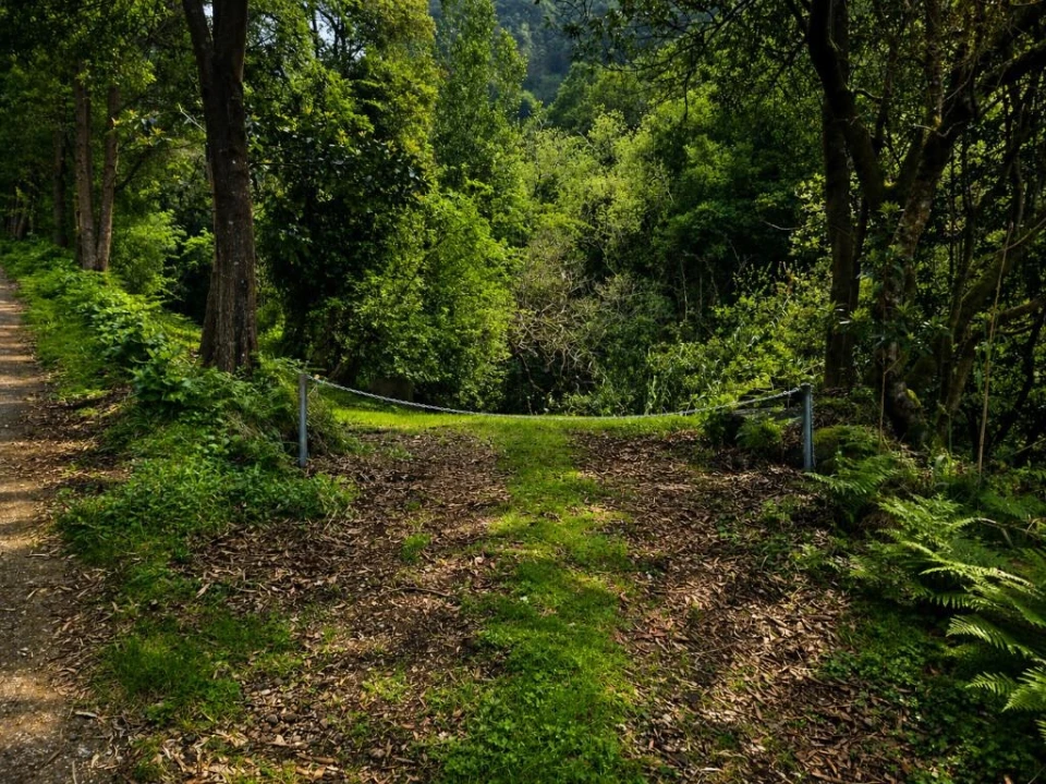 Terreno para Venda em Ponta Delgada Foto 4