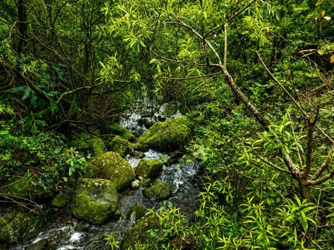 Terreno para Venda em Ponta Delgada Foto 13