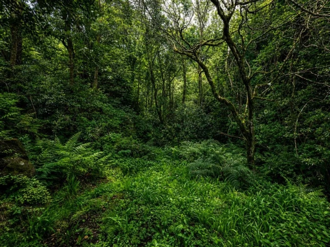 Terreno para Venda em Ponta Delgada Foto 7