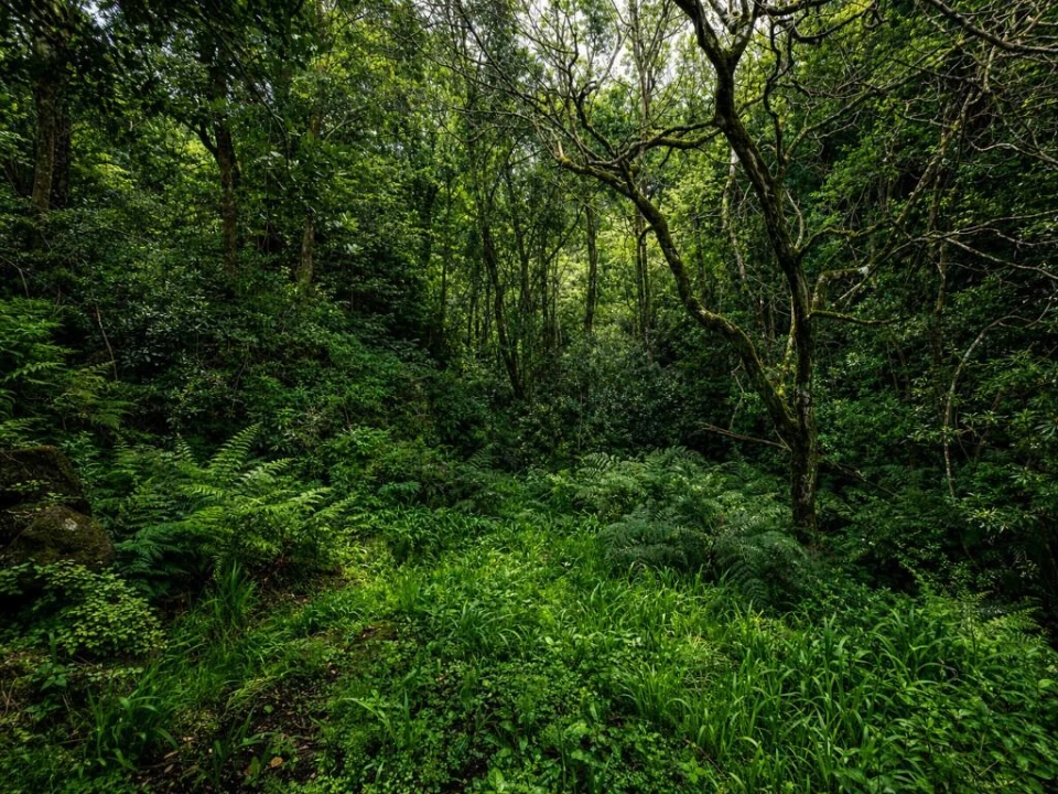 Terreno para Venda em Ponta Delgada Foto 7