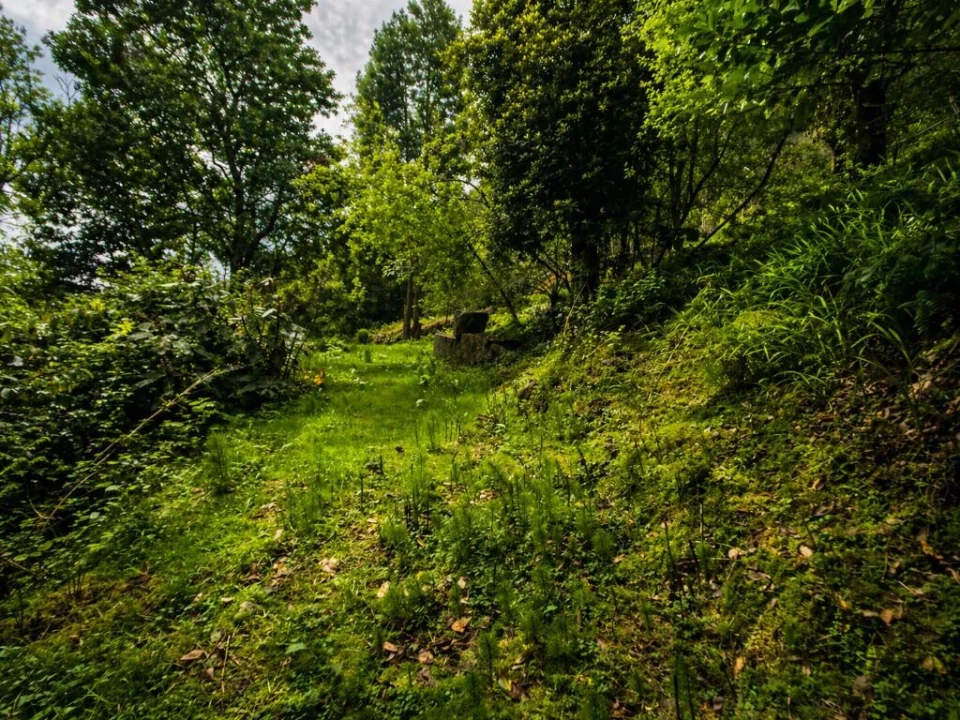 Terreno para Venda em Ponta Delgada Foto 8