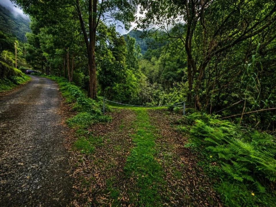 Terreno para Venda em Ponta Delgada Foto 3
