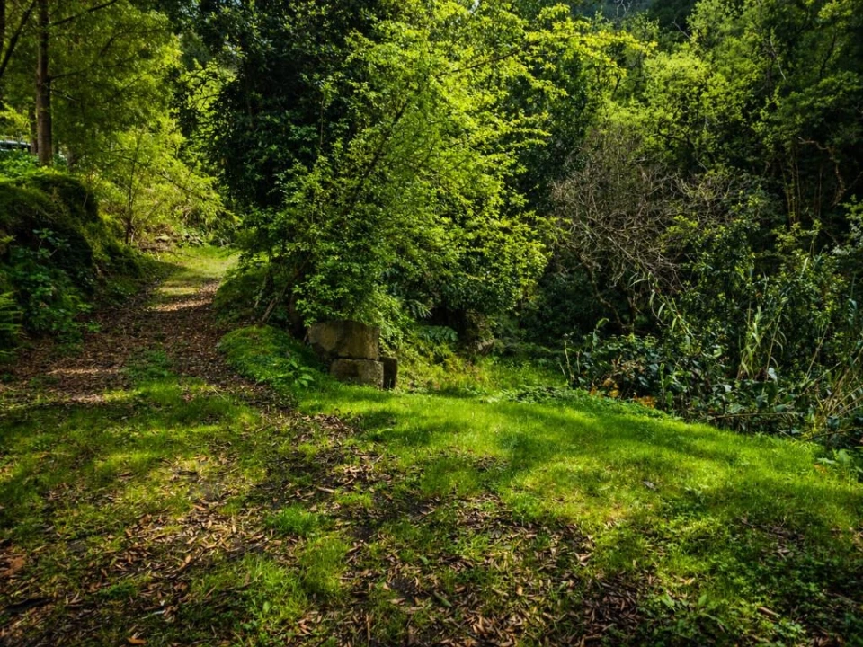 Terreno para Venda em Ponta Delgada Foto 6