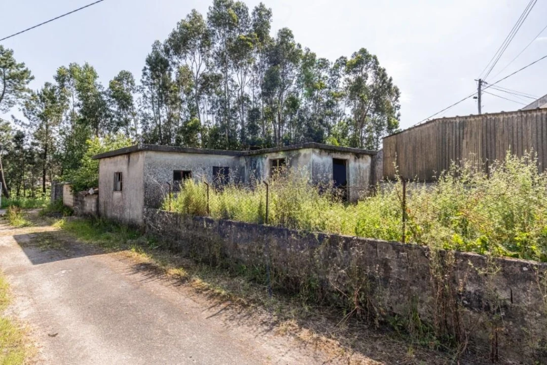 Moradia T3 para Venda em Martim Foto 19
