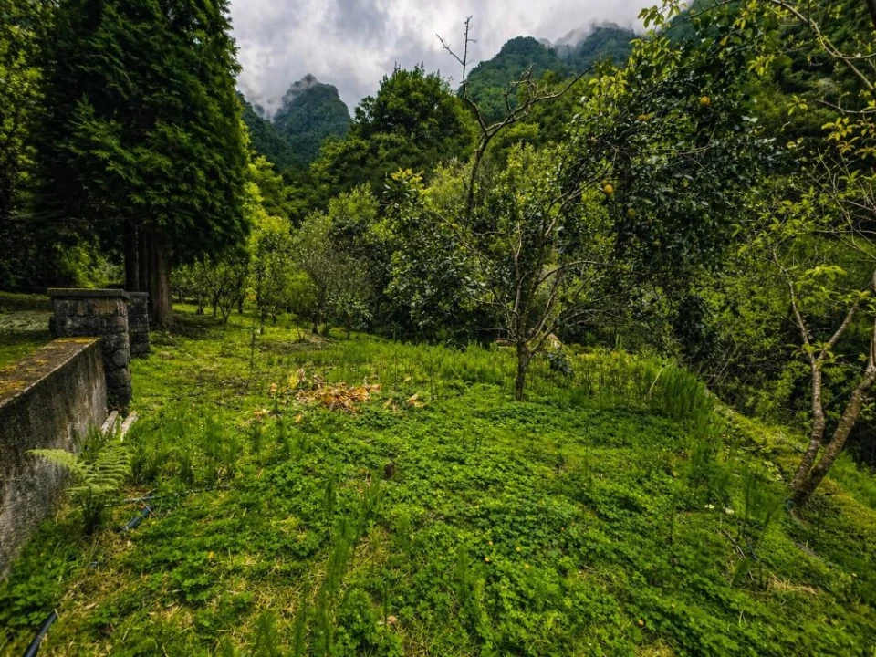 Terreno para Venda em Ponta Delgada Foto 13