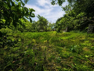 Terreno para Venda em Ponta Delgada